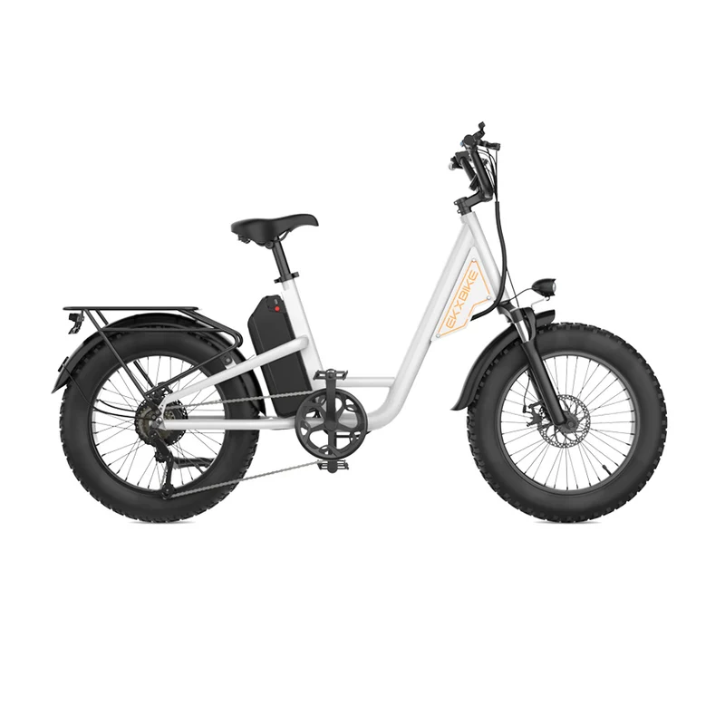 Bicicletta elettrica urbana EKXBIKE L1 Step-through