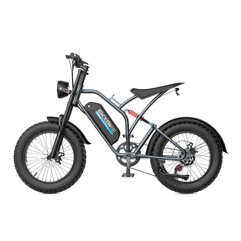 Bici elettrica fuoristrada da montagna EKXBIKE T1
