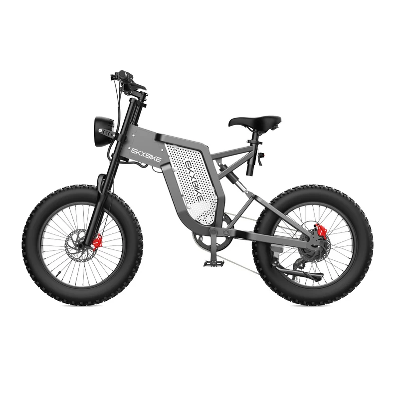EKXBIKE X20 Mountain bici elettrica fuoristrada