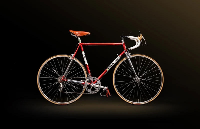 Master Bike