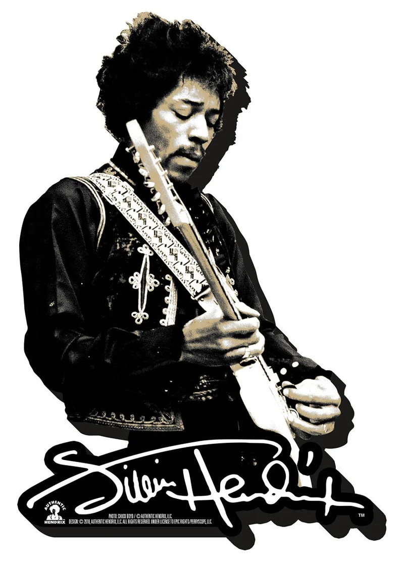 Jimi Hendrix Chunky Magnete