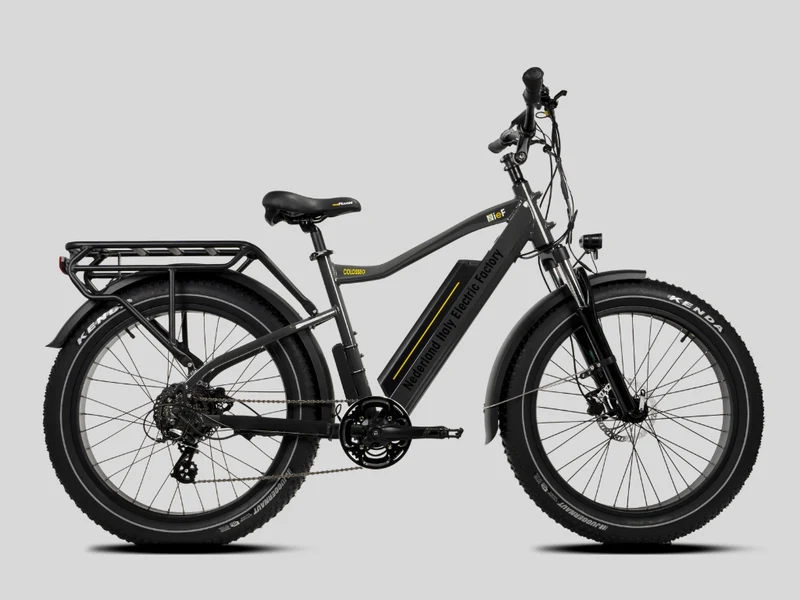 COLOSSEO MAGIS - FAT BIKE 26x4" - 48V 21A 1008Wh