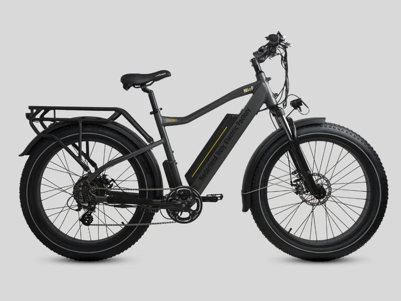 COLOSSEO - FAT BIKE 26x4" - 48V 14A 672Wh