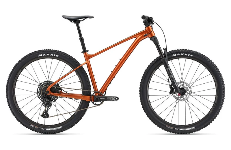 Giant Fathom 29 1 2022