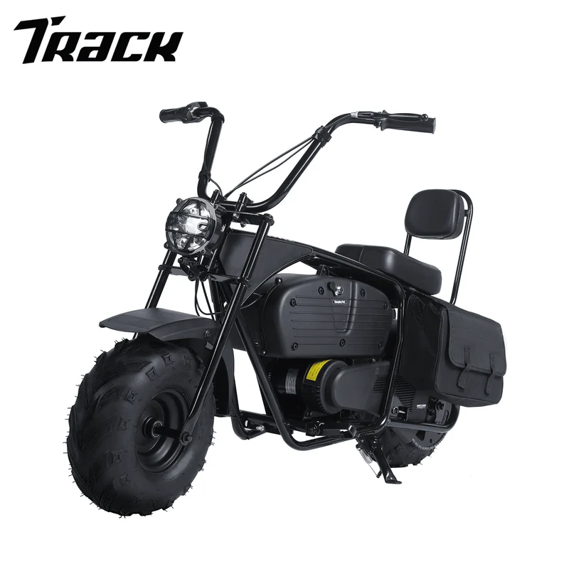Track Seven 36V Powered Motorcycle for Kids, 1000W Electric Kids Dirt Bike,Max Speed to 22 MPH, Electric Mini Bike with Large Storage, Headlights, Up to 185lbs, Age 8+