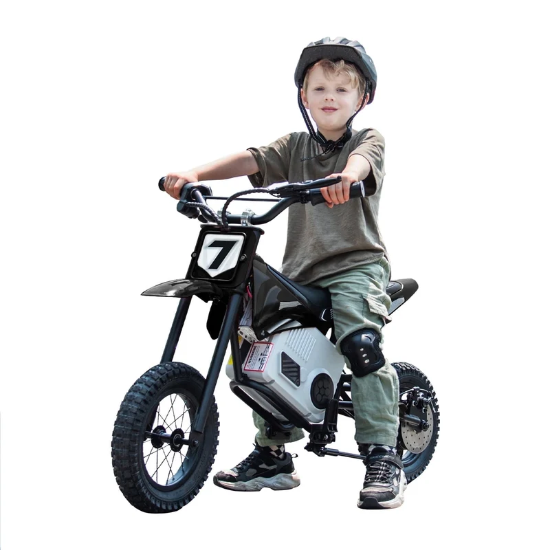 SUSIELADY 24V Electric Dirt Bike, 250 W Kids Powered Motorcycle, with Twist Grip Throttle, Hand-Operated Dual Brakes, Speed Up to 10 MPH, for Kids Aged 8-12
