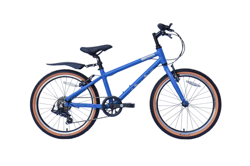 Raleigh POP 20