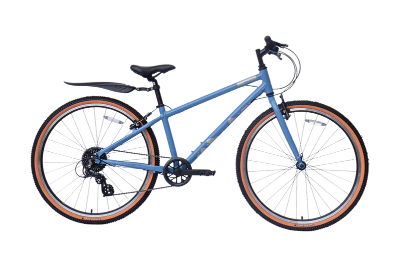 Raleigh POP 26