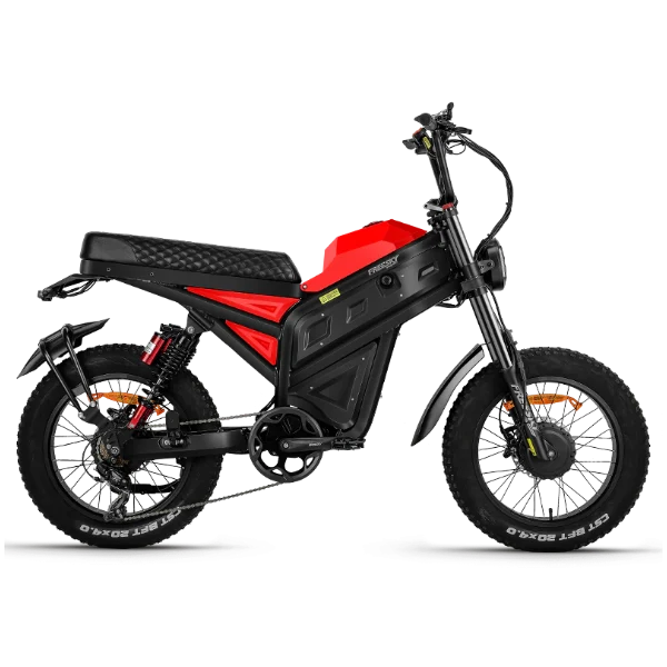 eMOTO Freesky Cheetah MT-380