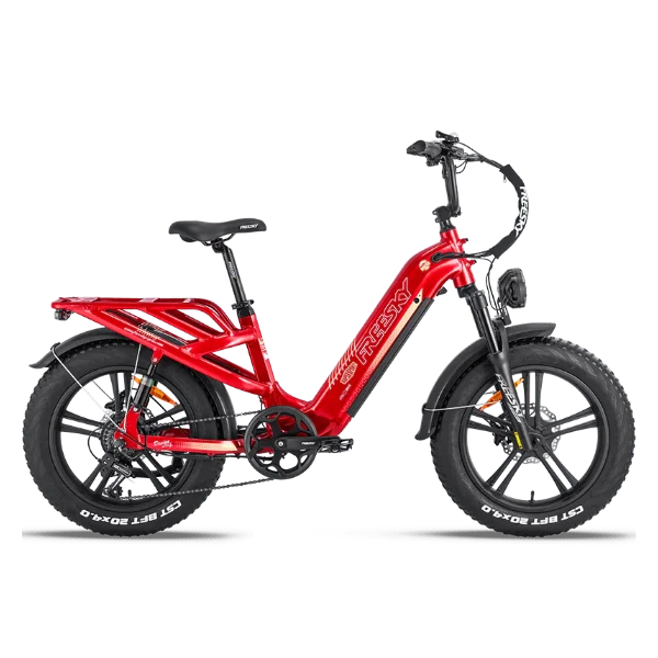 eBike Freesky Rocky Pro A-320