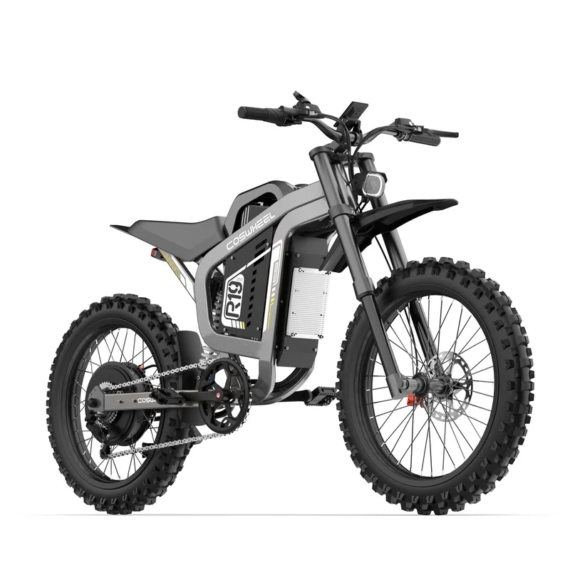 eBike Coswheel R19