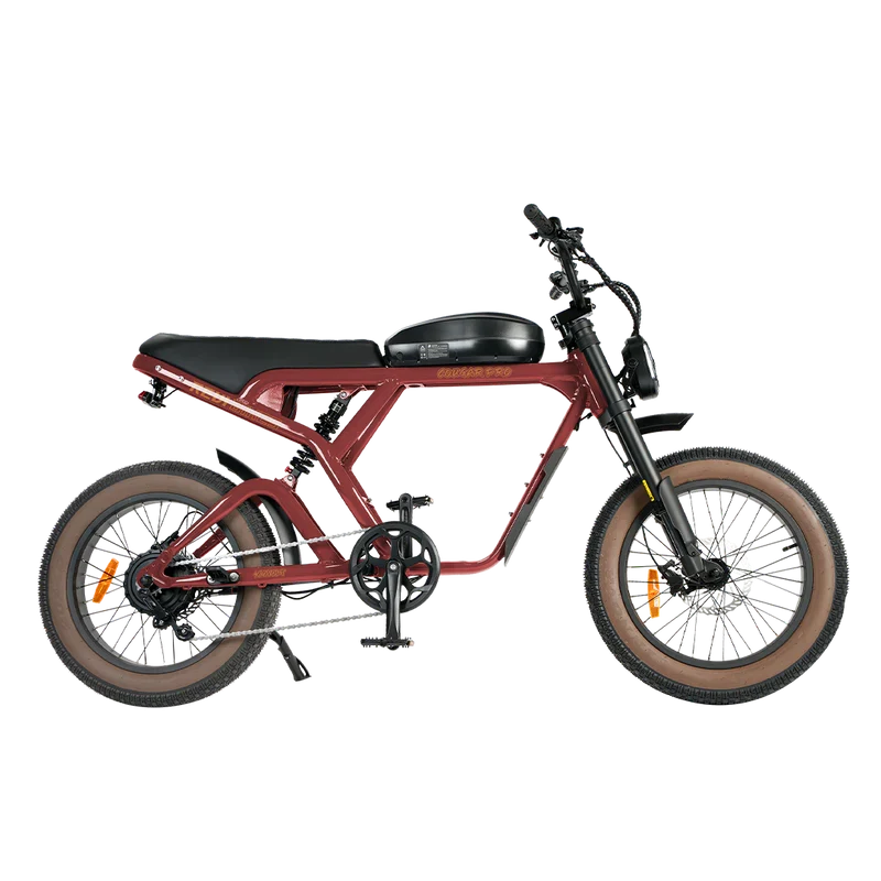 eBike Revi Cougar Pro