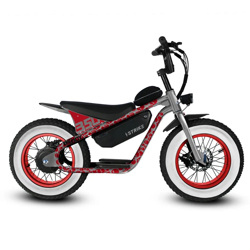 eBike Strike Big Boy - Gray Skully - In a Box