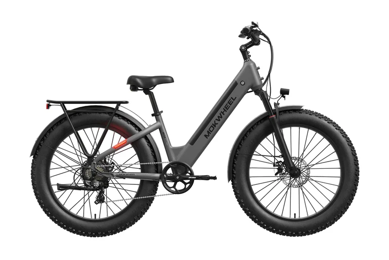 eBike Mokwheel Mesa Plus - Gray - In a Box