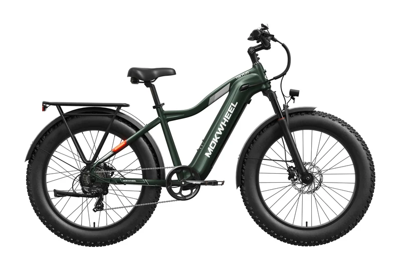 eBike Mokwheel Tor Plus - Green - In a Box