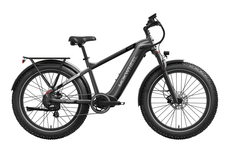 eBike Mokwheel Basalt 2.0 - Step Over - Gray - In a Box
