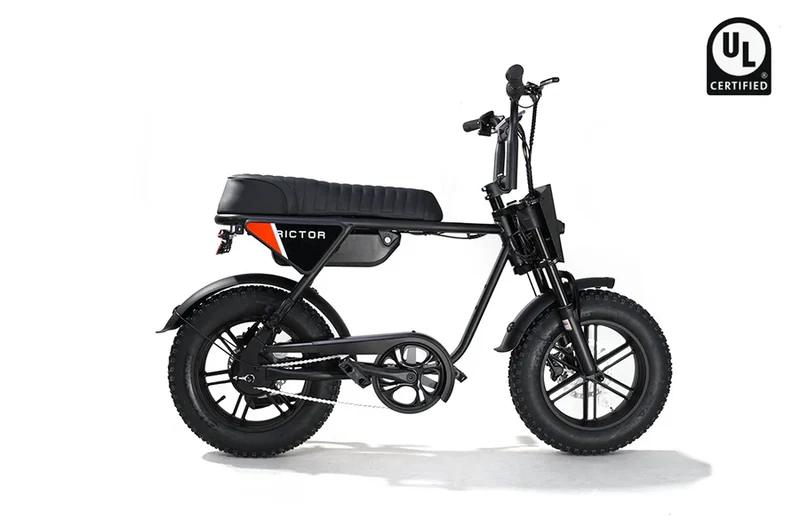 eBike Rictor Flexx - Black - In a Box
