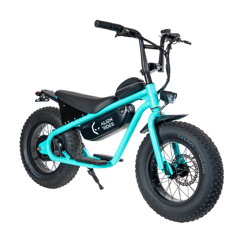 AR Atom 1000 Watt Mini Electric Bicycle