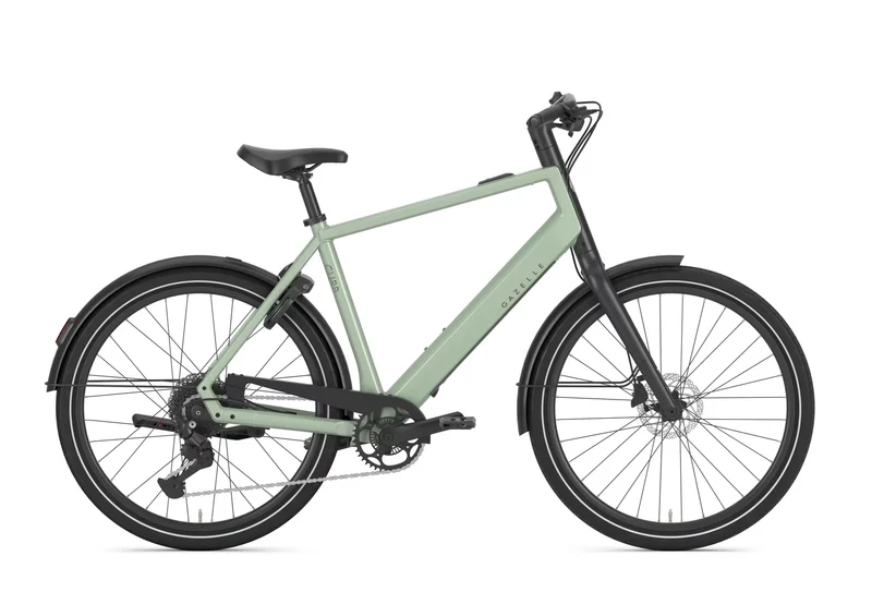 Gazelle Curb T9 360 pistache green 2027