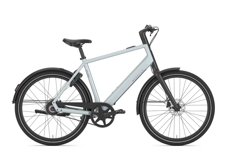 Gazelle Curb C1 360 platinum white 2027