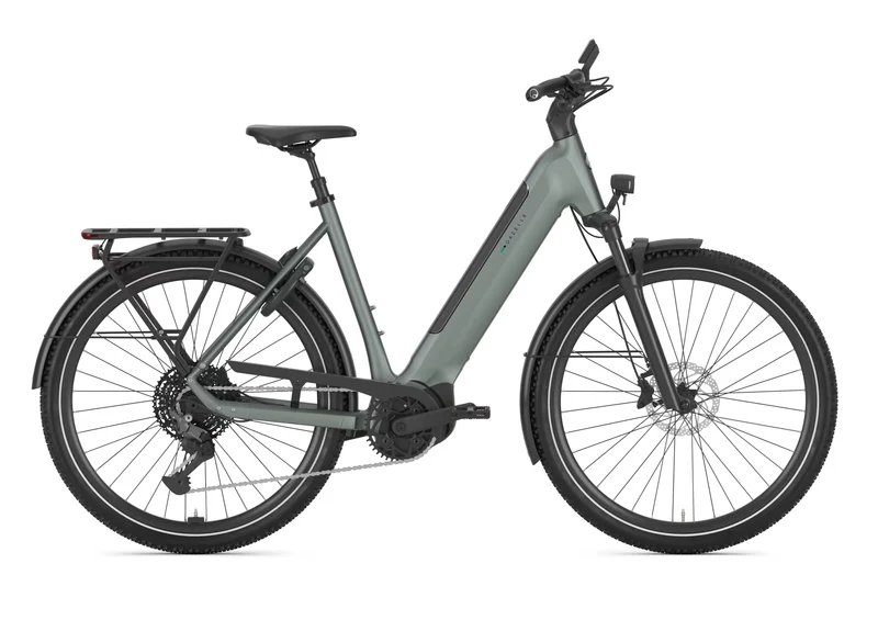 Gazelle Ultimate T11 800 twilight green EE 2026