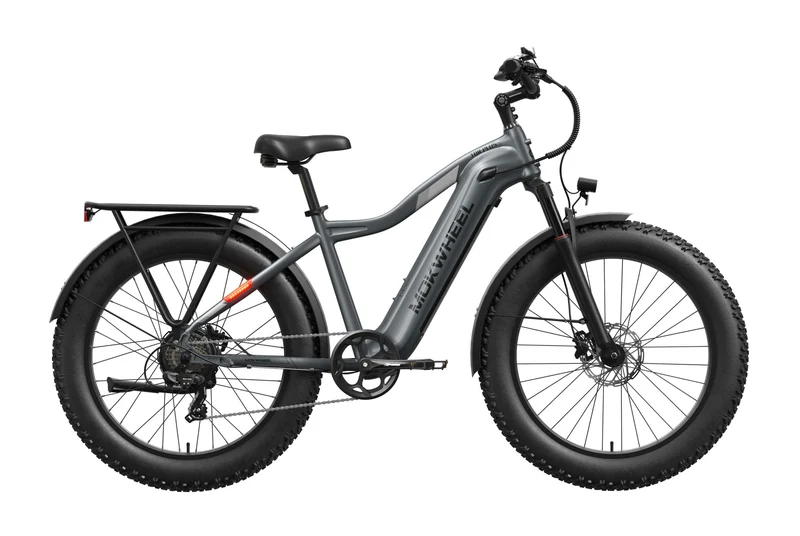 eBike Mokwheel Tor Plus - Gray - In a Box