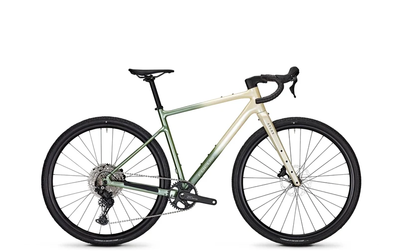 Focus ATLAS 6.7 Champagne/Mintgrey 2026
