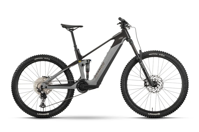 Raymon Tarok gray sparkle / carbon / citron 2025