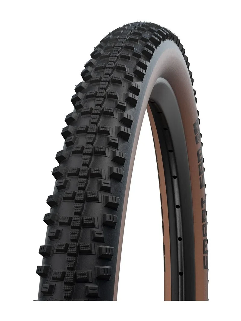 Schwalbe SMART SAM Perf
