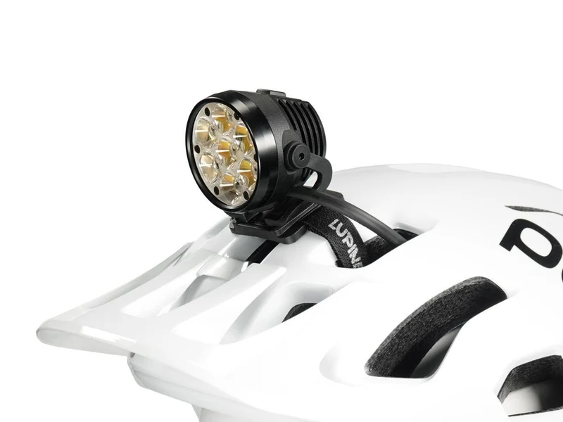 Lupine Betty R 7