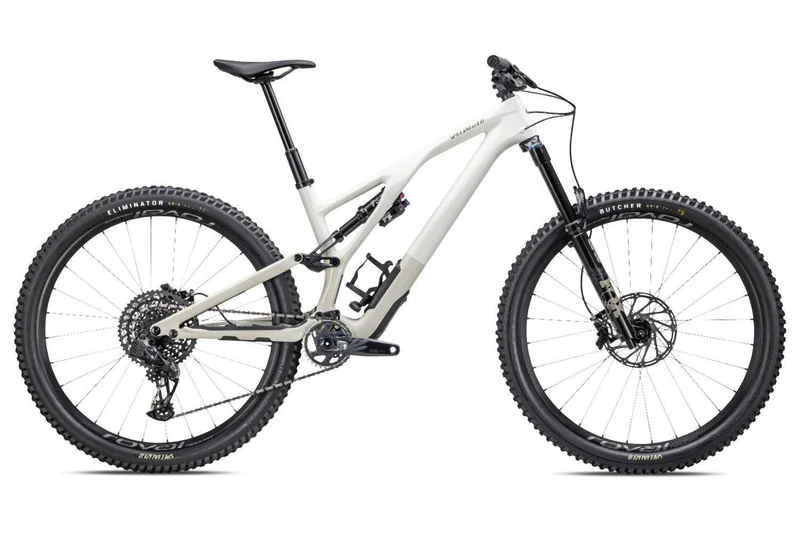 Specialized Stumpjumper Evo Expert birch/taupe